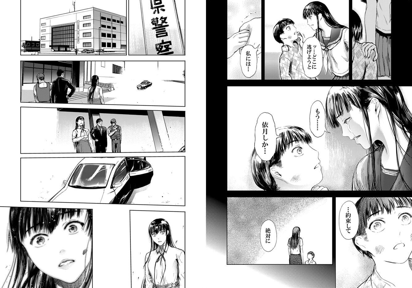 仮面のカーネーション最終回 ***二つの仮面