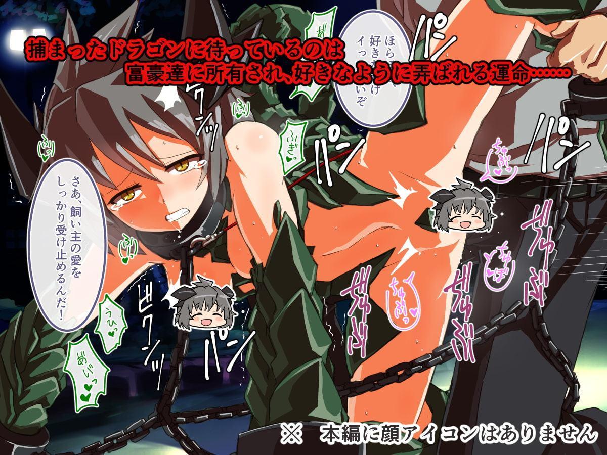 ドラゴンハンター vol.01