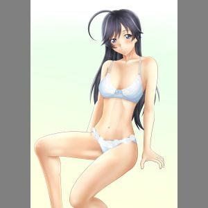 全裸差分有り!おっぱい増量差分有り!ガー○ズ&パンツ○○下着画像集