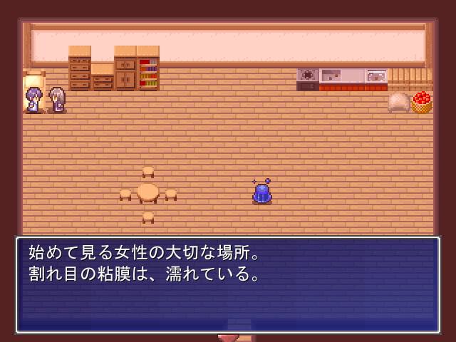 童貞の主人公がエッチな巨乳サキュバスのお姉さん達に優しく搾り取られるゲーム