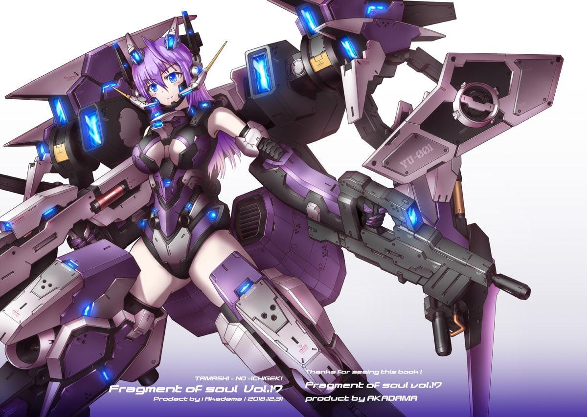 Fragment of soul vol.17