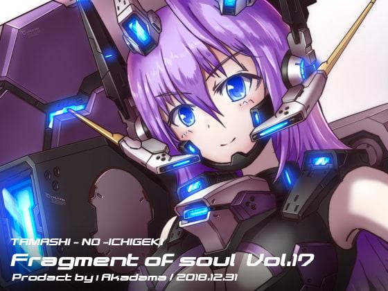 Fragment of soul vol.17