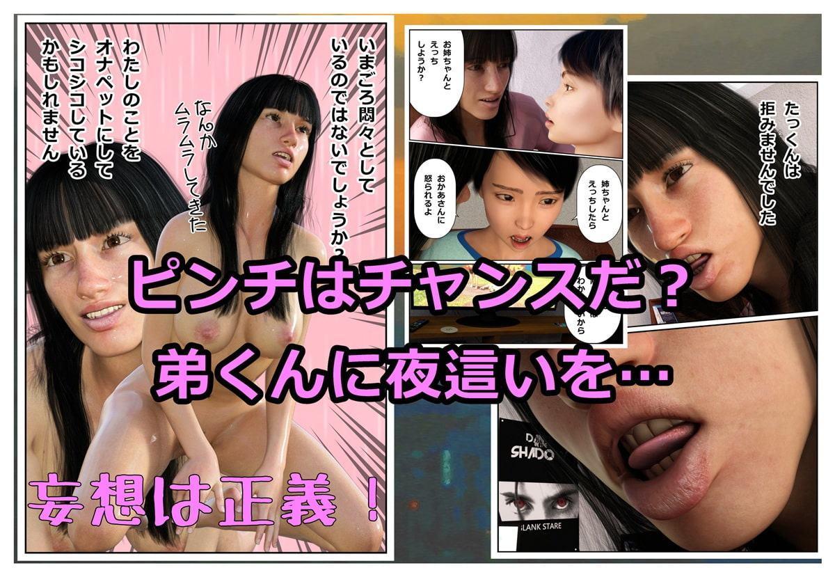 オナニーを見られたので弟とセックスしました