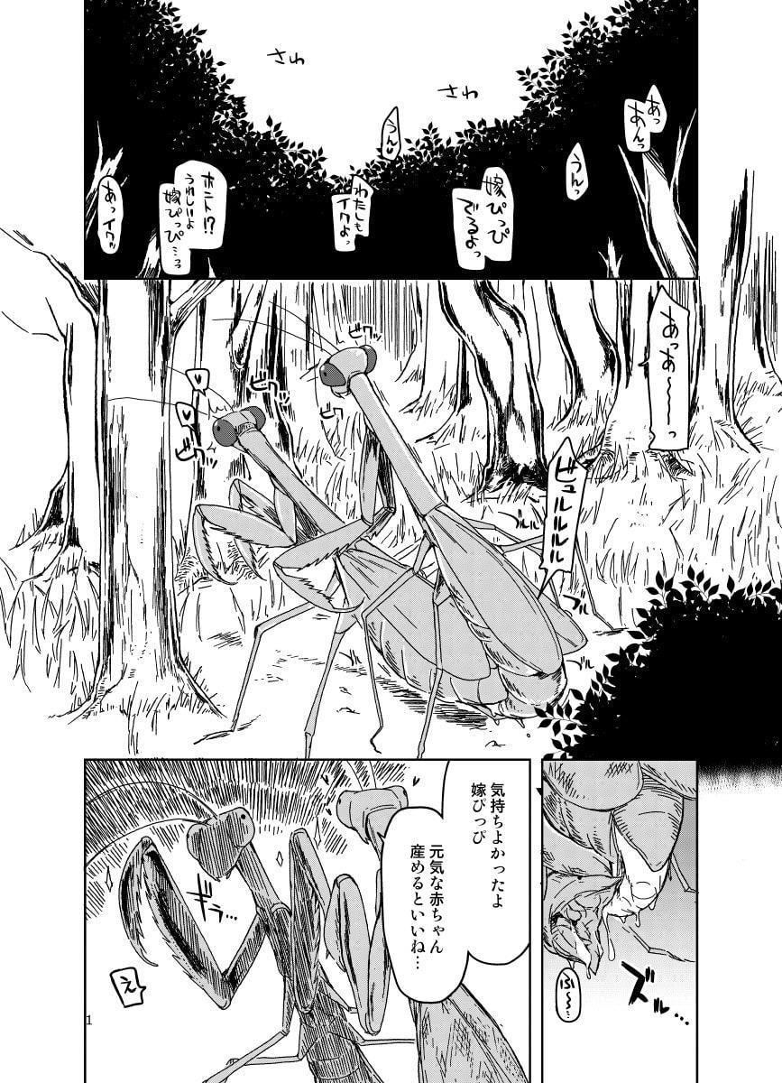 ドスケベエルフの異種姦日記 まとめ2