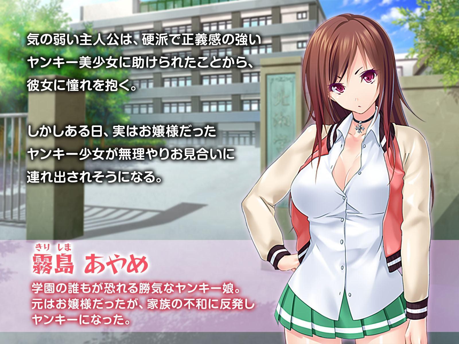 ボインなツンデレヤンキーちゃんとイチャイチャ子作りライフ ～ア●ルもま●こも孕ませて～