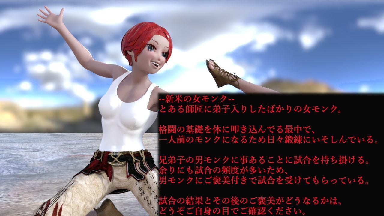 ファンタジー世界の模擬戦闘-過激にHな日常 男女モンク編-