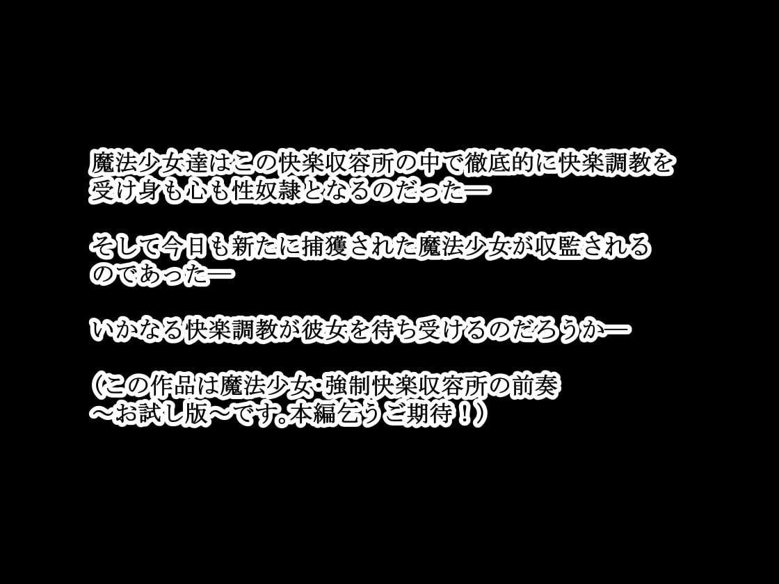 魔法少女・強制快楽収容所