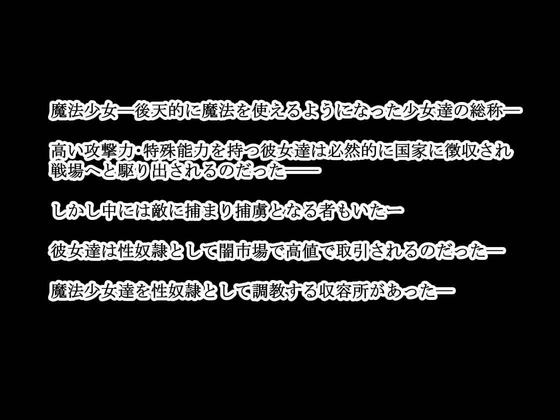 魔法少女・強制快楽収容所