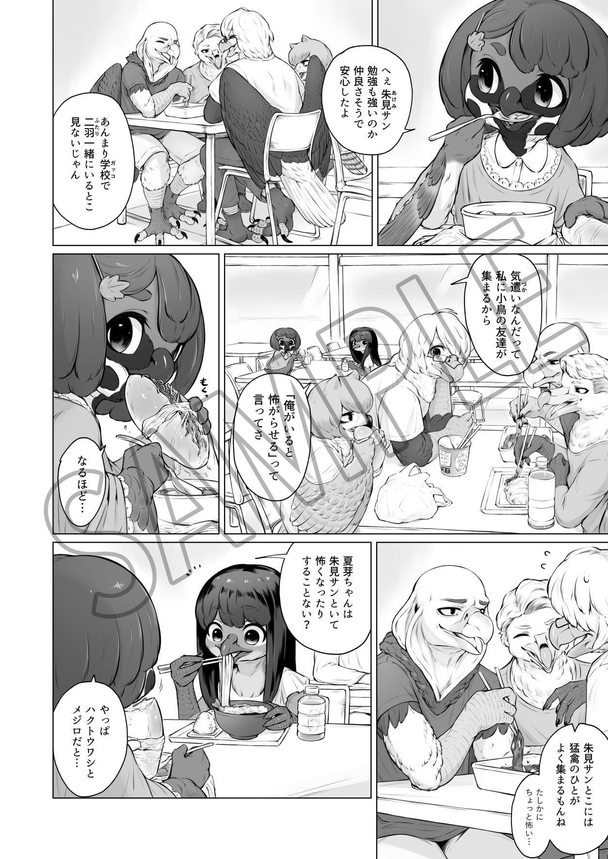 猛禽彼氏と小鳥彼女