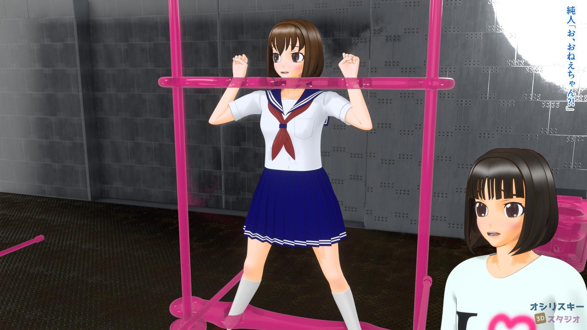 姉と木馬 悪夢の連続絶頂