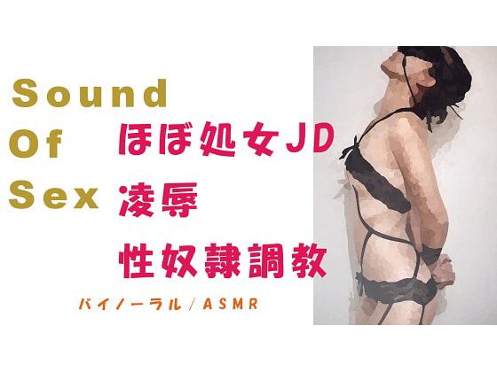 Sound Of Sex～ほぼ処女凌辱!人生で3回目のSEXで性奴隷調教されたメスブタJD!※激しめ注意! バイノーラル/ASMR/催眠音声/SEX音声☆