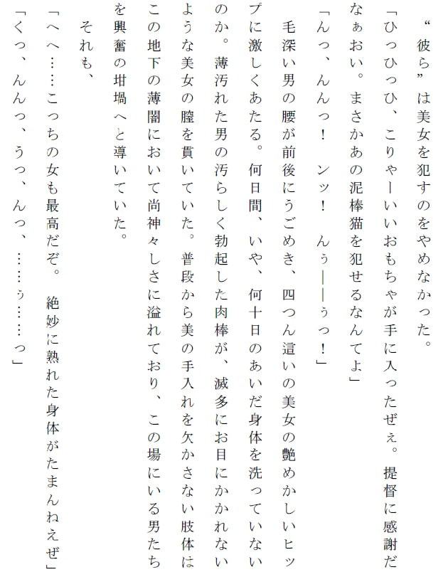 犯されたヒロイン達～拉致された航海士と考古学者～