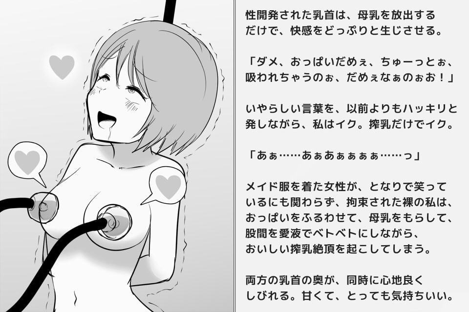 快楽絶頂機姦