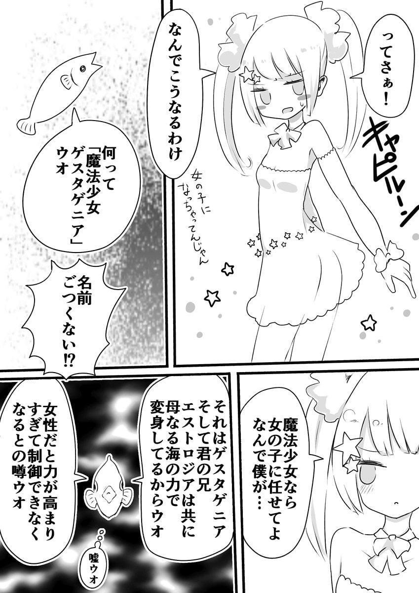魔法少女エストロジア&魔法少女ゲスタゲニア