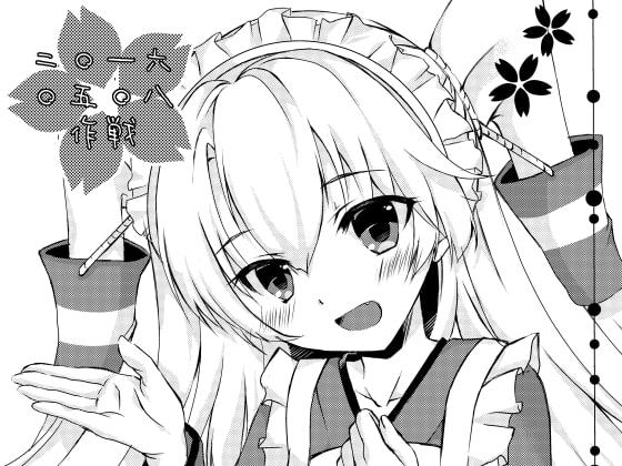 二〇一六〇五〇八作戦