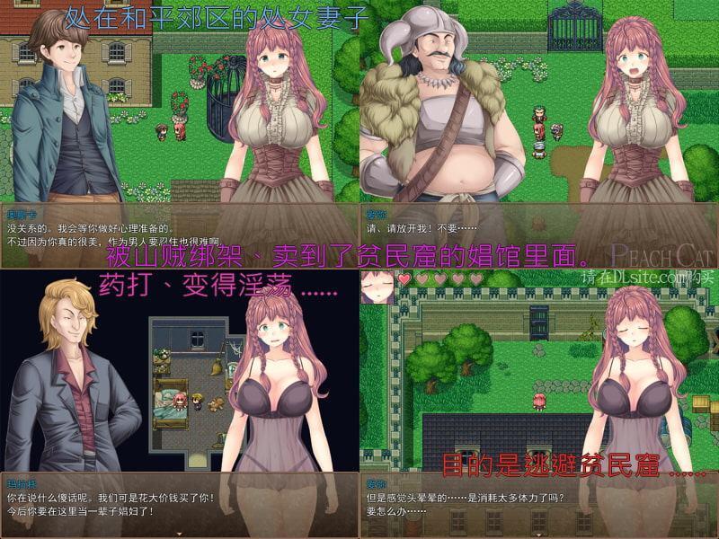 新妻エミィのスラム脱出物語【中国語版】