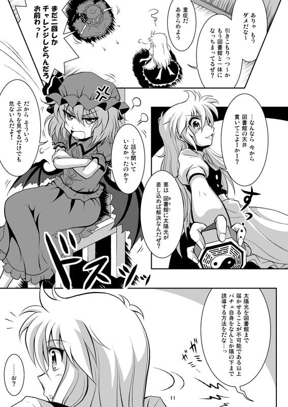 東方Project同人誌 「大図書館に光を!」