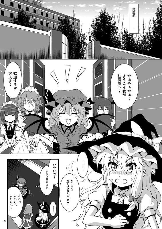 東方Project同人誌 「大図書館に光を!」
