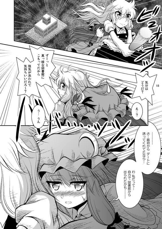 東方Project同人誌 「大図書館に光を!」