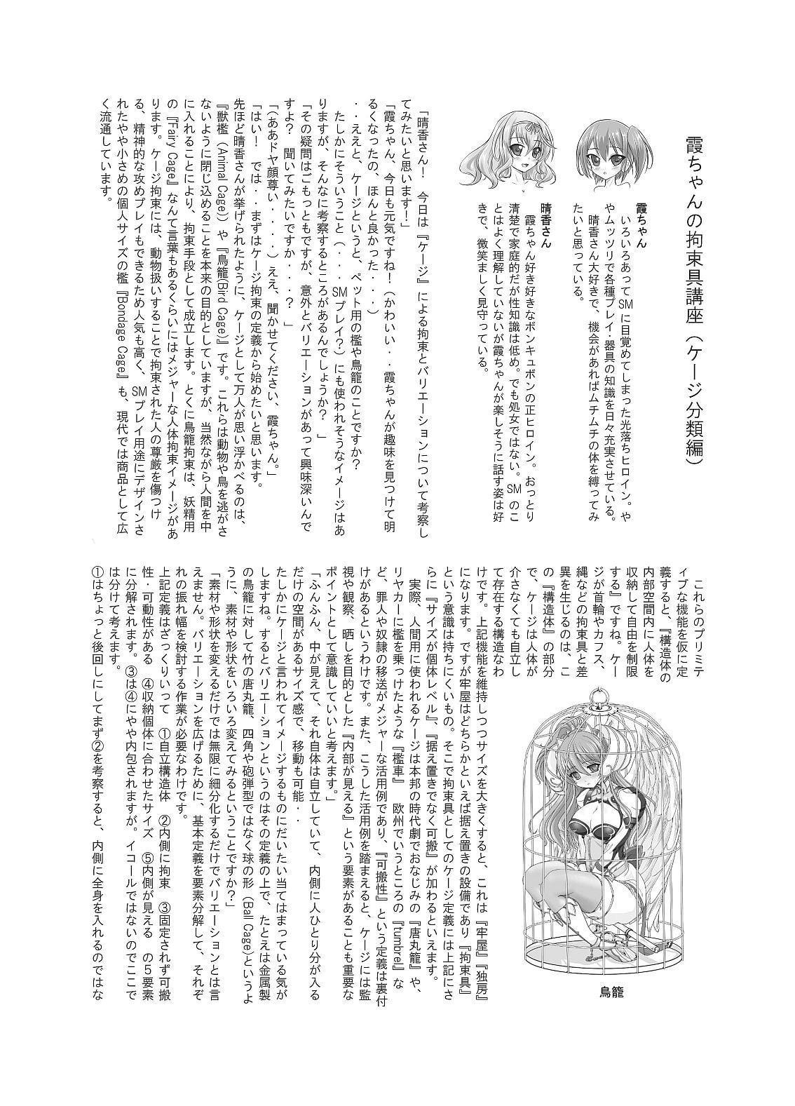 Restraint Knights2 -拘束魔法戦士-