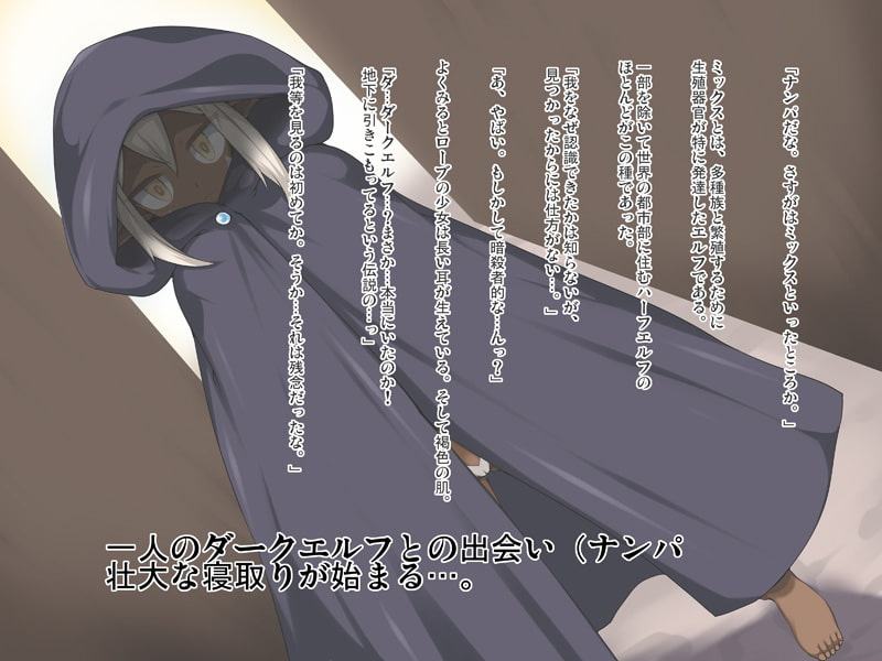 人妻ダークエルフ攻略物語