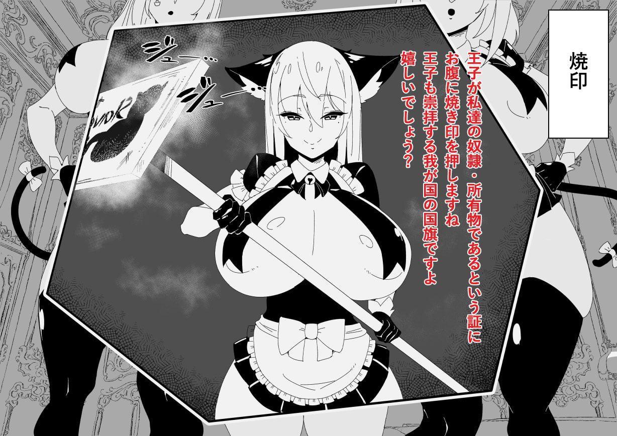 犬王国VS猫帝国