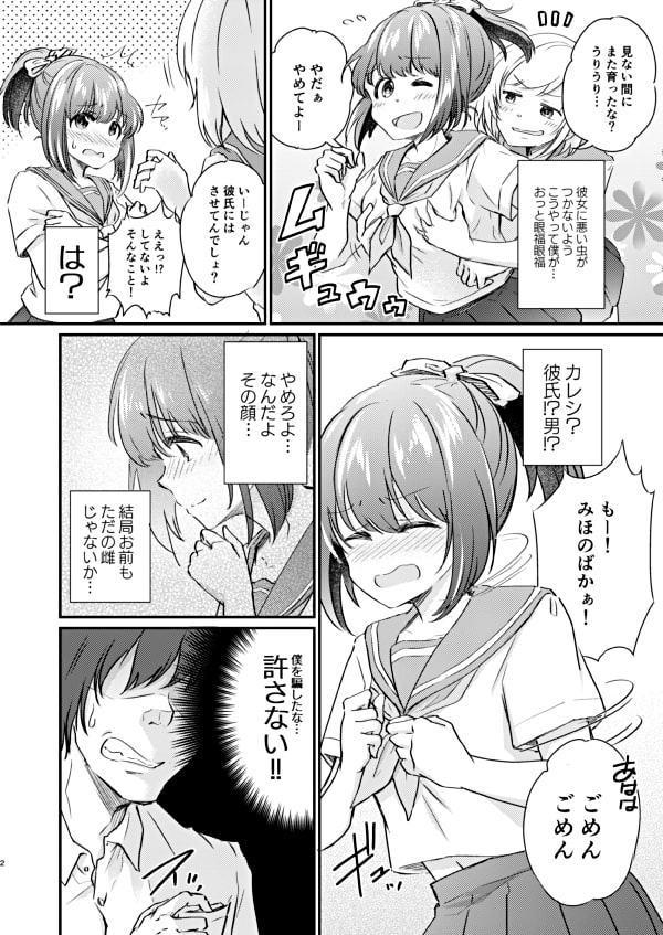 ヒロイン雌肉改造計画