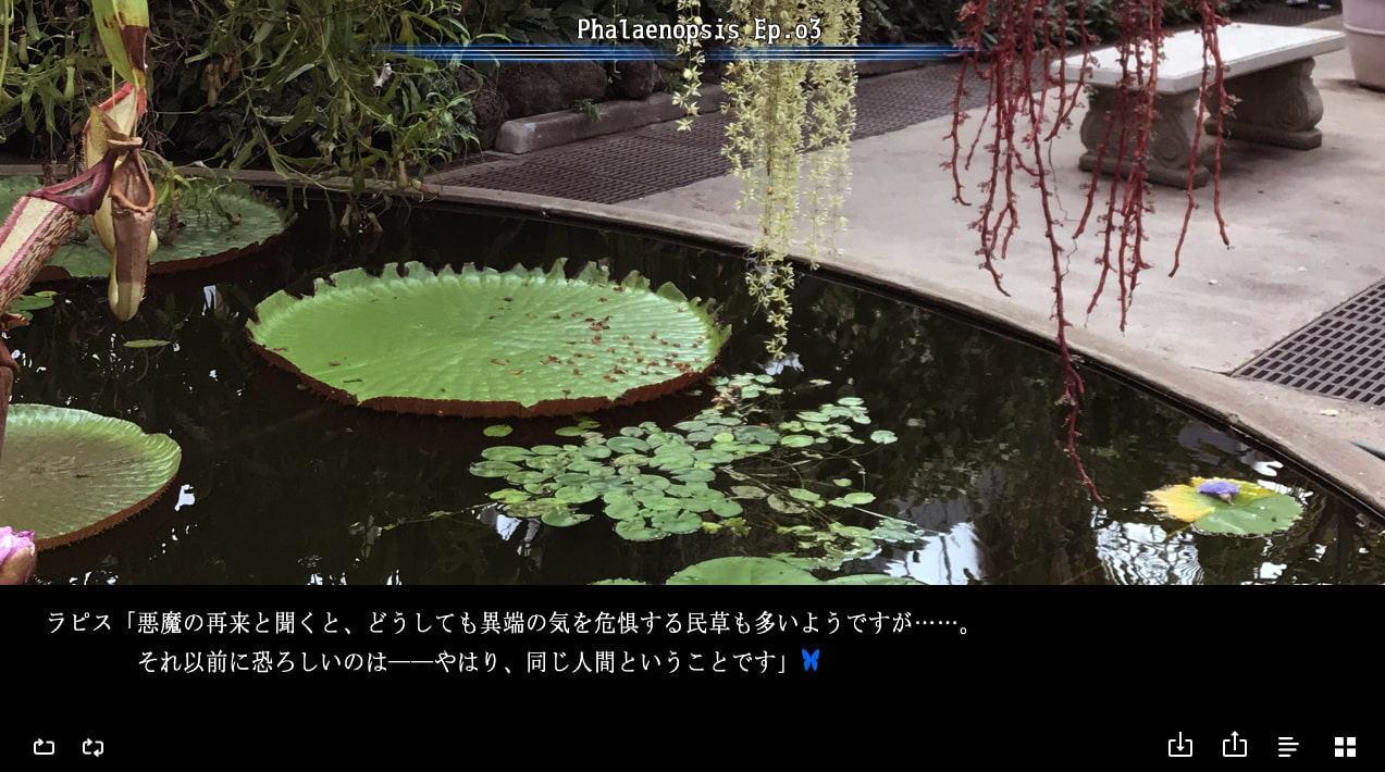 Phalaenopsis Ep.o3