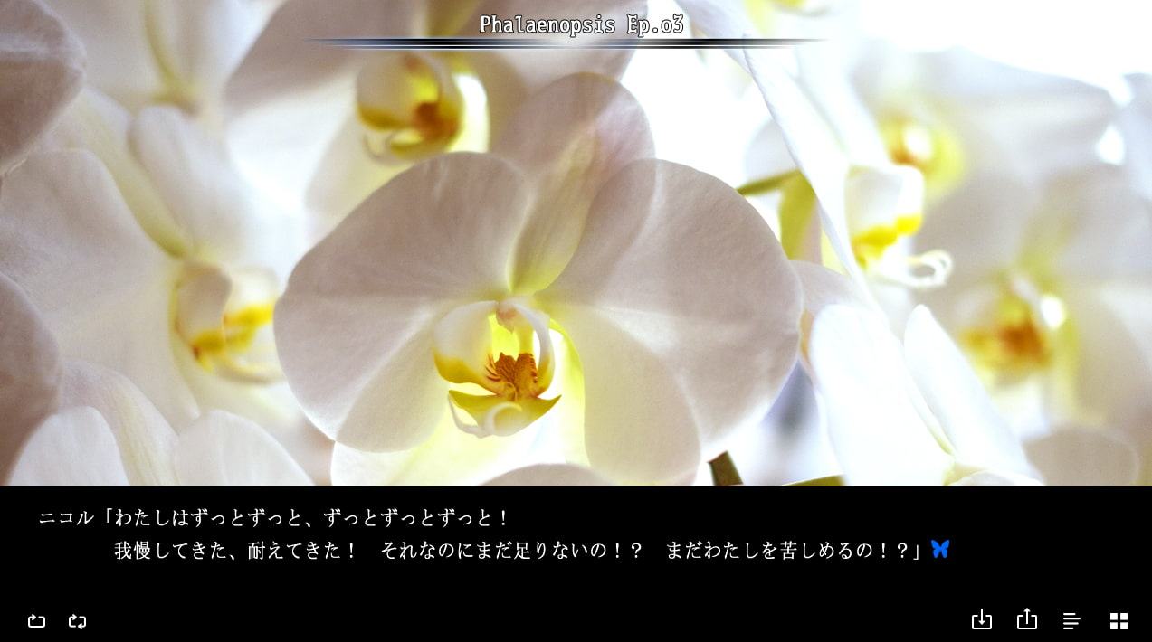 Phalaenopsis Ep.o3