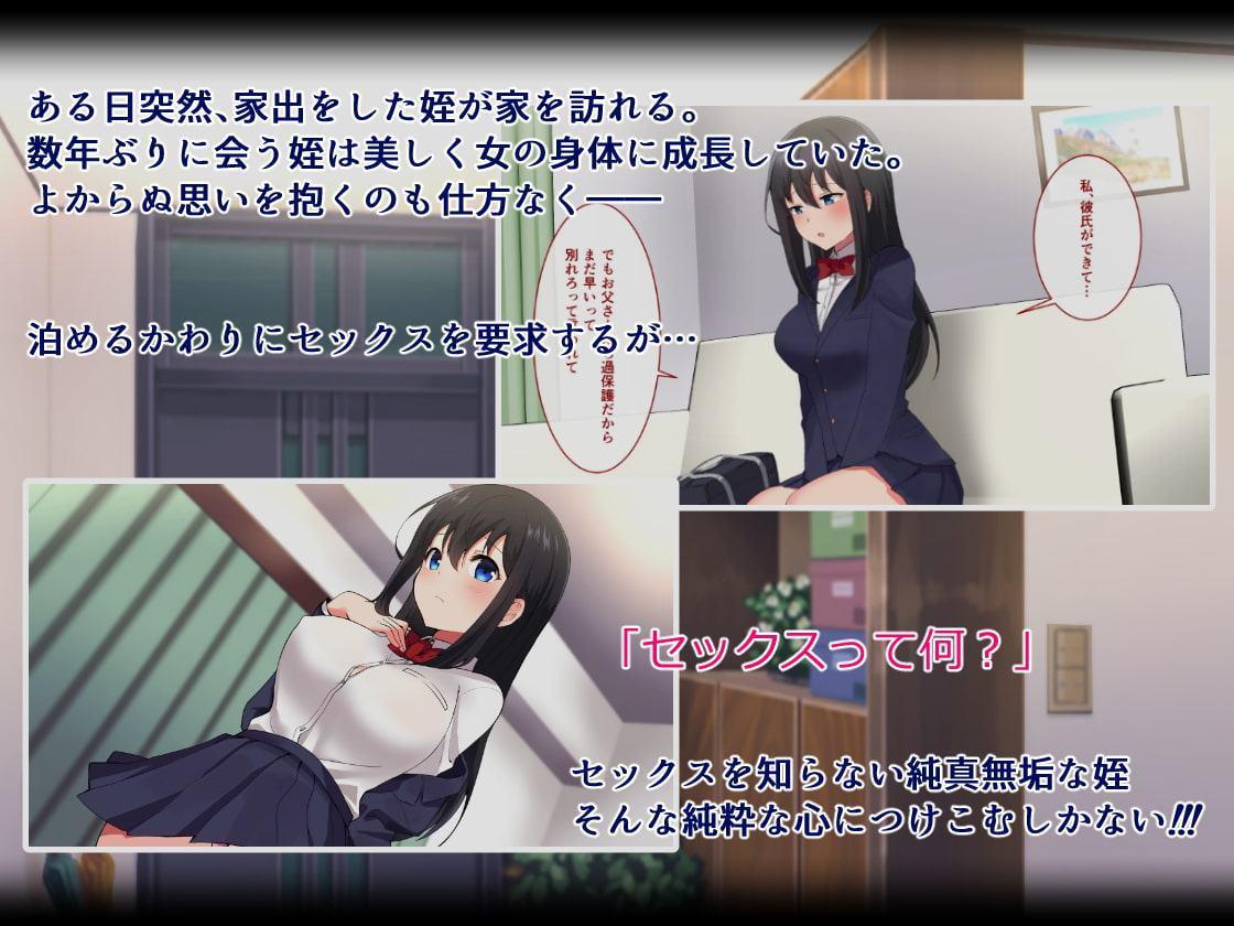 姪の純真無垢な心につけこんでヤりたい放題ハメまくった話