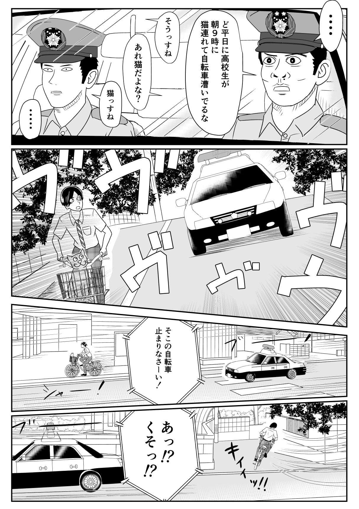 僕と猫と彼女と