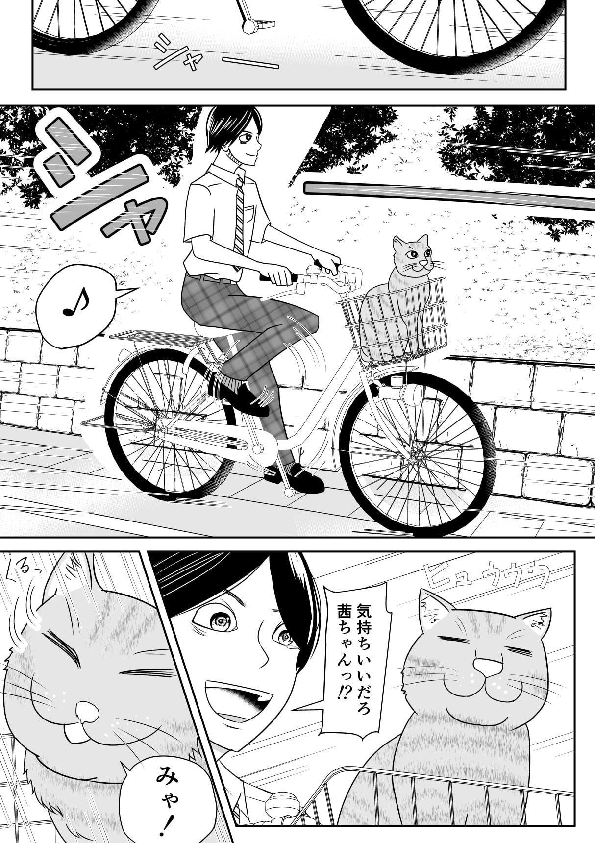 僕と猫と彼女と