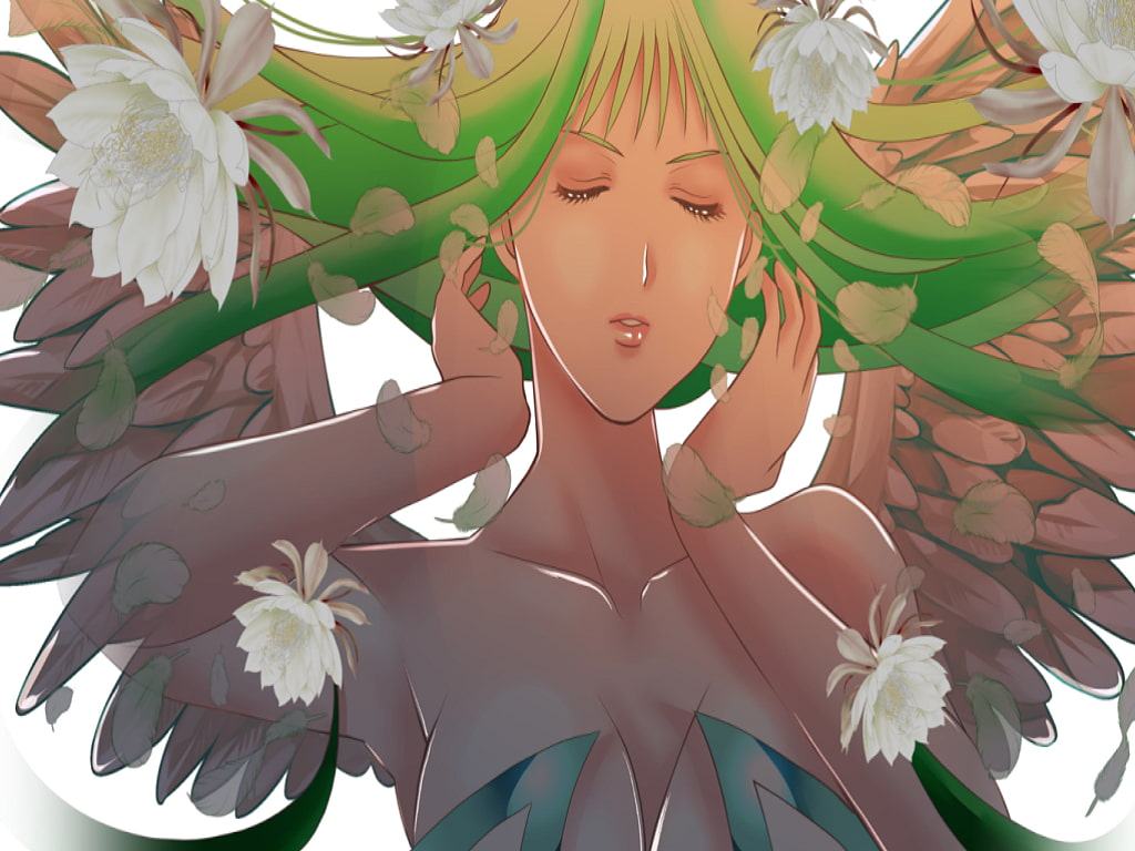 Wallpaper collection