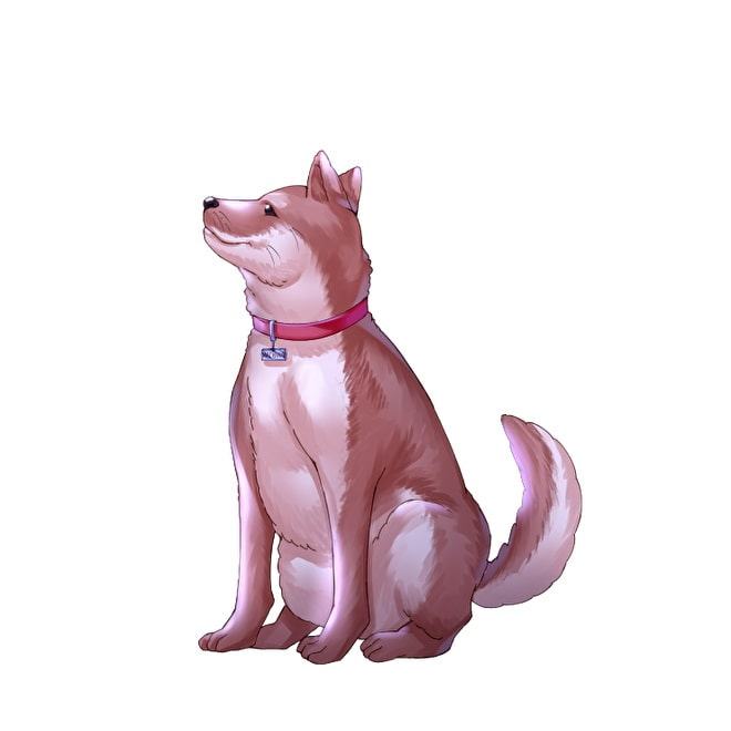 寄せては返す、波の向こうへ