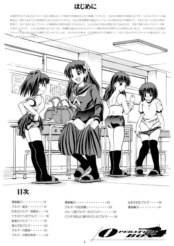 ブルマーの歴史・改訂版