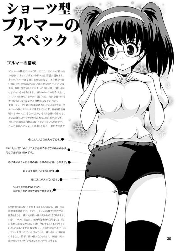 ブルマーの歴史・改訂版