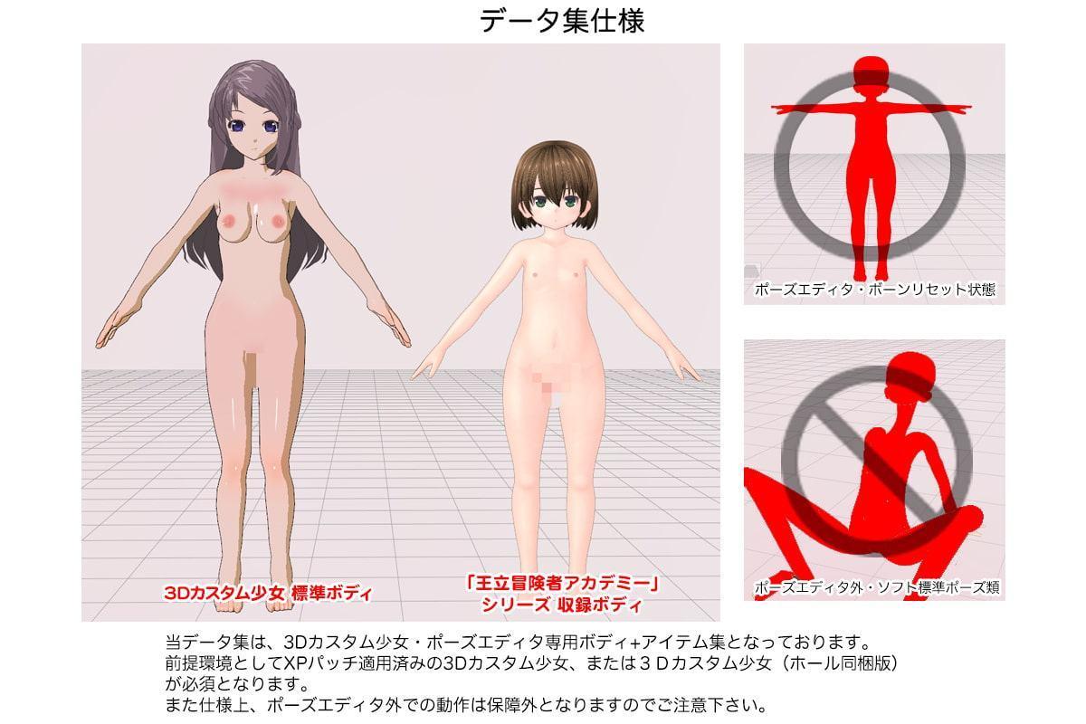 3Dカスタム少女データ集 王立冒険者アカデミー 追加パック06