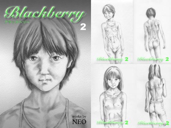 Blackberry 2(ブラックベリー2)