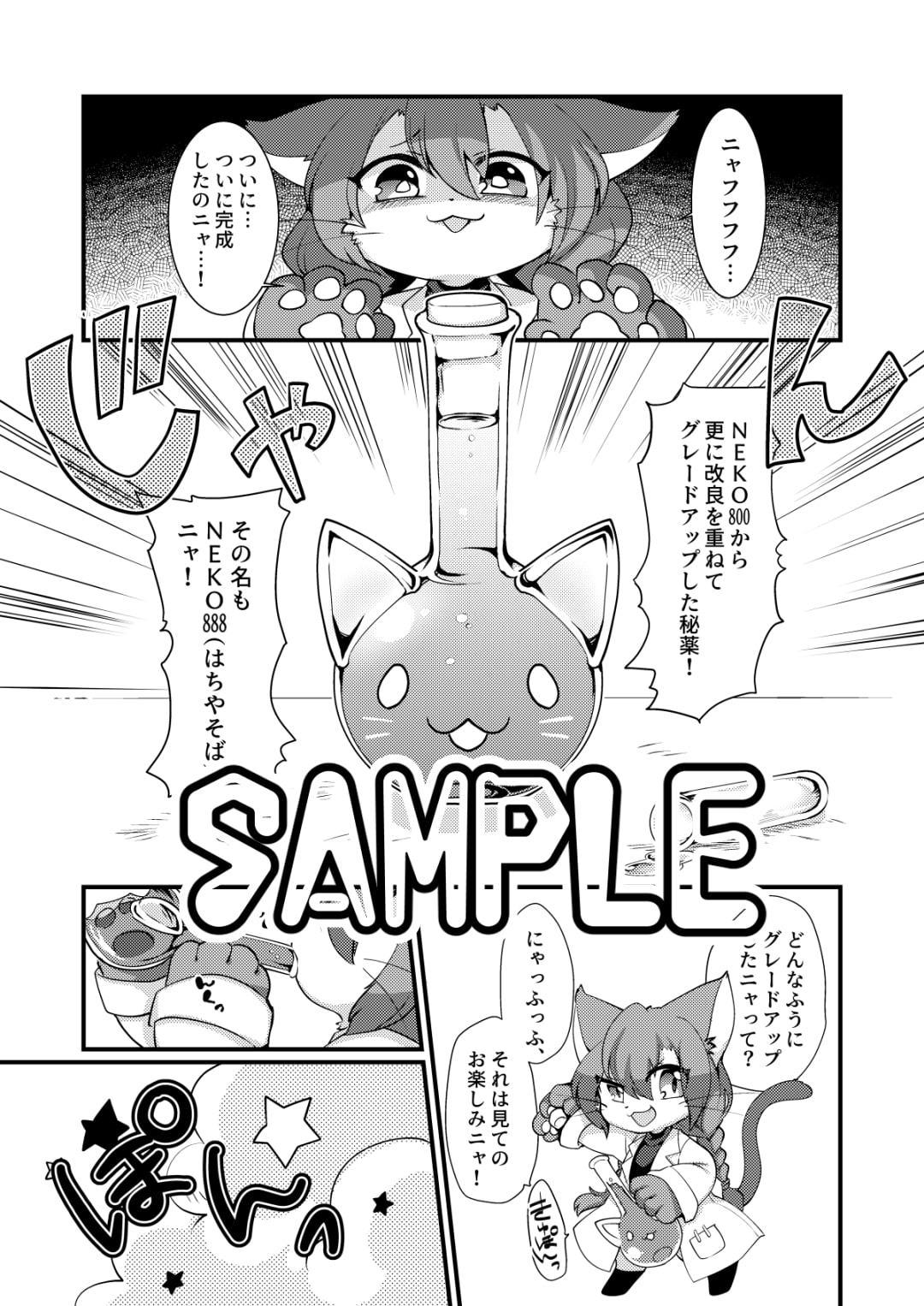 ここからはオトナのじかんニャ!