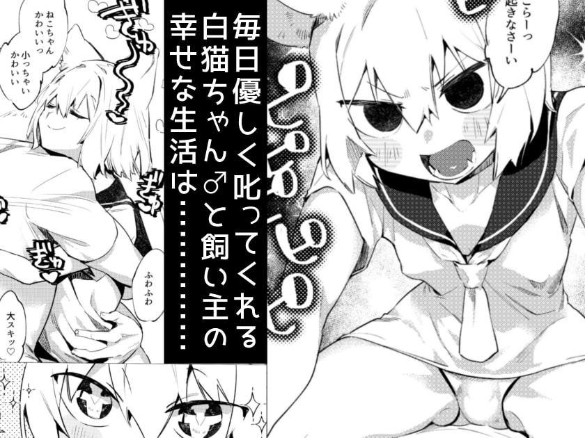 ねこちゃん達の性活