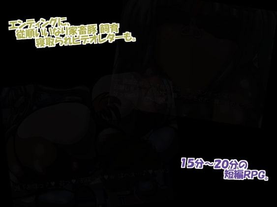 陥落☆エリート社員彼女!