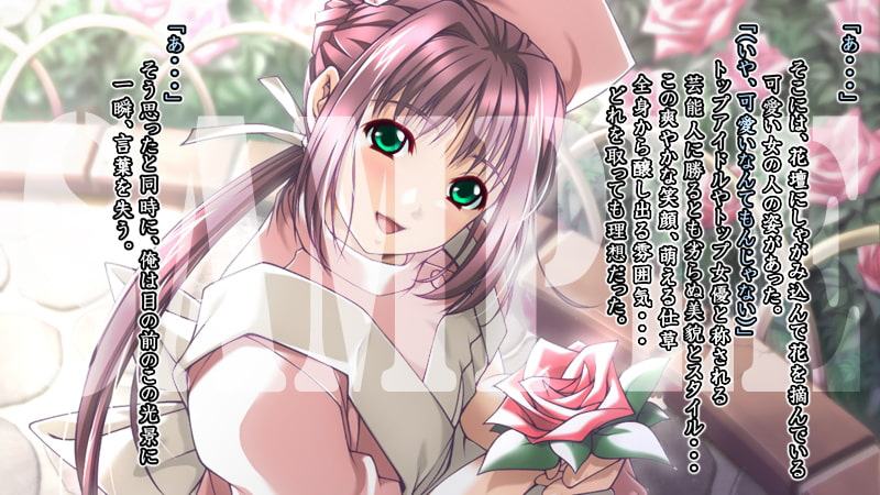 夜勤別棟 -I am 勇者:恋編-