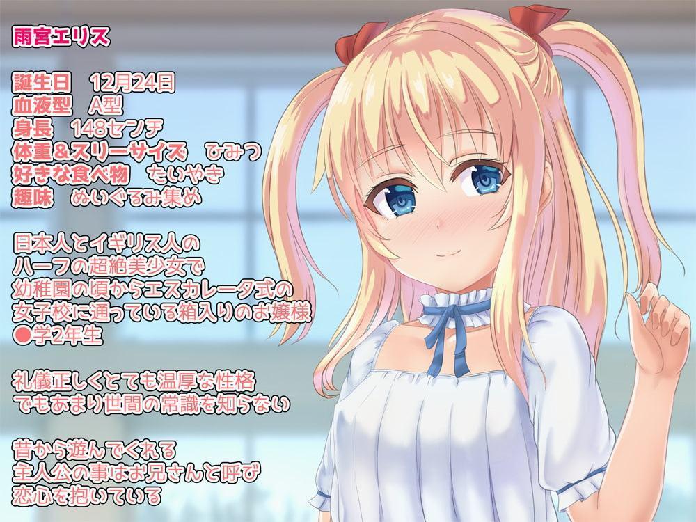 温室育ちのお嬢様にエロゲの知識しかない俺がHな授業をする事になった件!