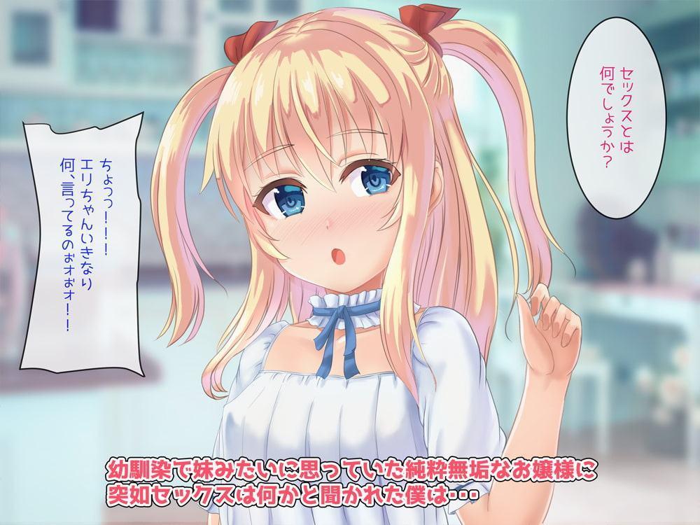 温室育ちのお嬢様にエロゲの知識しかない俺がHな授業をする事になった件!