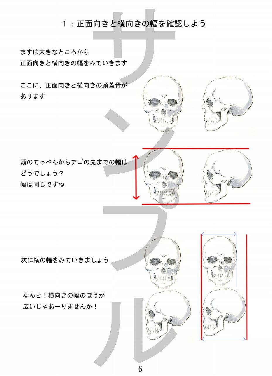 描けちゃうシリーズ(1)頭部の描き方
