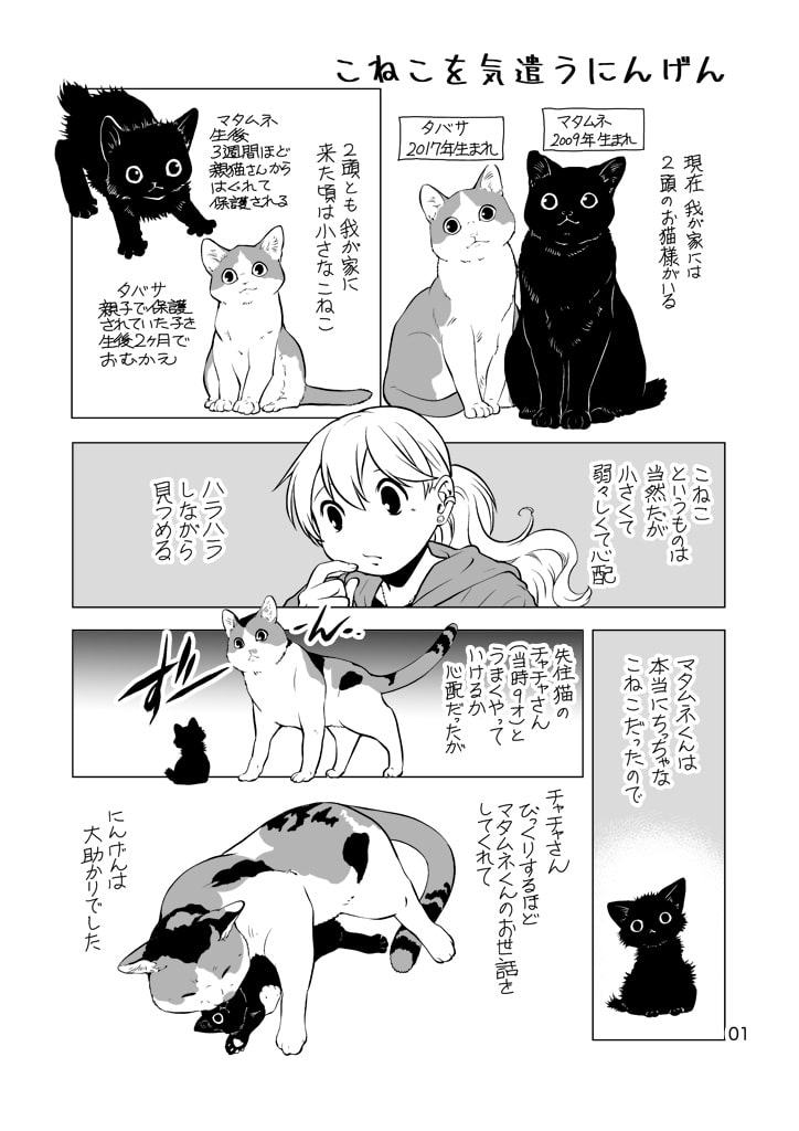 ねこと暮らすにんげん
