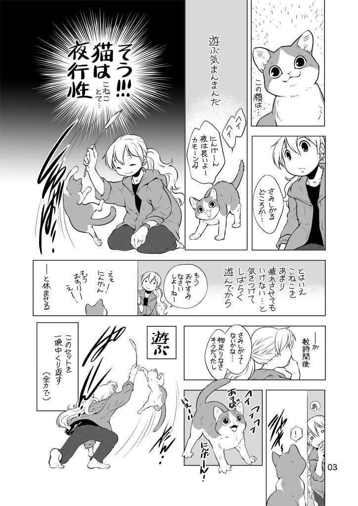 ねこと暮らすにんげん