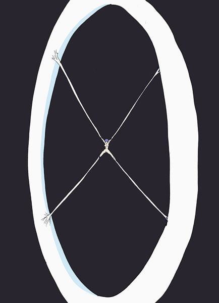 使徒ヲ産ミ落トス母体