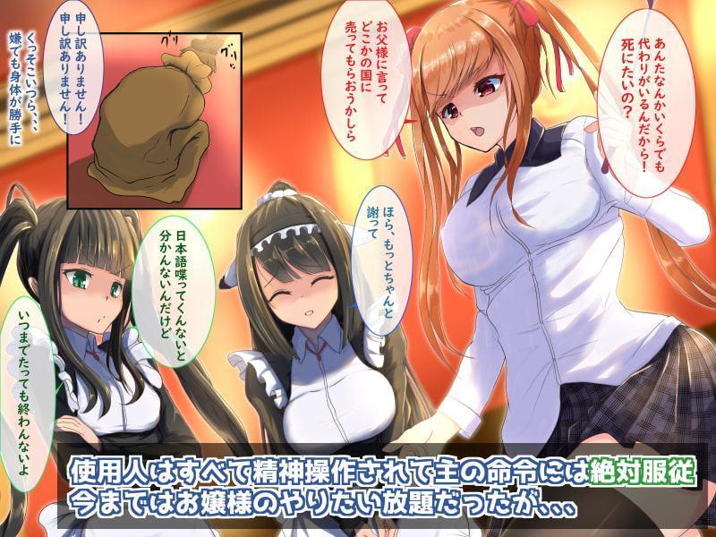 ‐完全拘束‐お嬢様(あいつら)は俺たちのおもちゃ