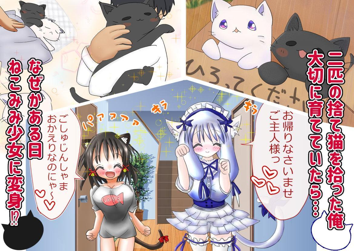 猫耳少女のHな恩返し～拾ってくれたお返しにHなご奉仕しますニャン～